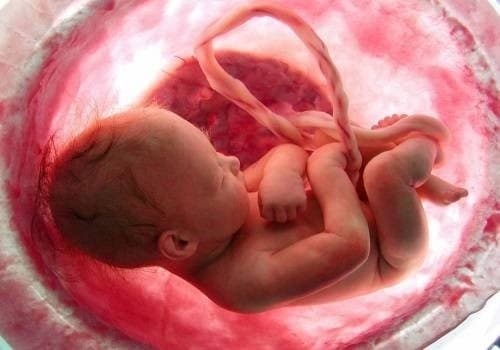Nhau bám mặt trước và những điều mẹ bầu cần chú ý, đặc biệt thai phụ nhóm máu O