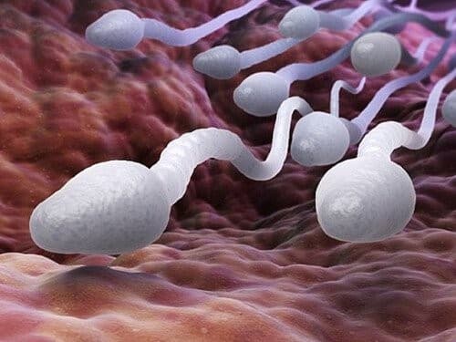  Khắc phục chứng “chưa đi đến chợ đã tiêu hết tiền…” 