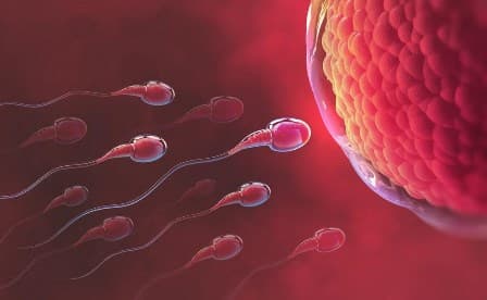 Những dấu hiệu hết ngày rụng trứng mà chị em phụ nữ cần biết