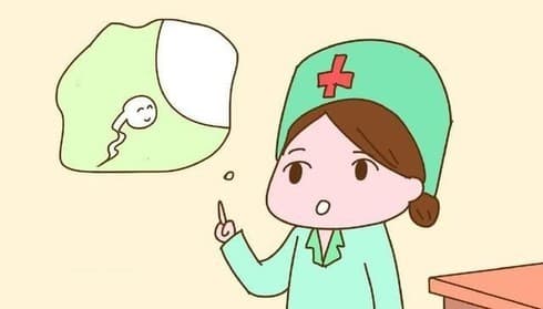 Phụ nữ dễ bị sảy thai cần làm gì trước khi muốn có con?