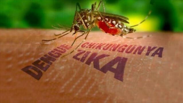 Virus Zika gây nguy hiểm như thế nào khi truyền từ mẹ sang con?